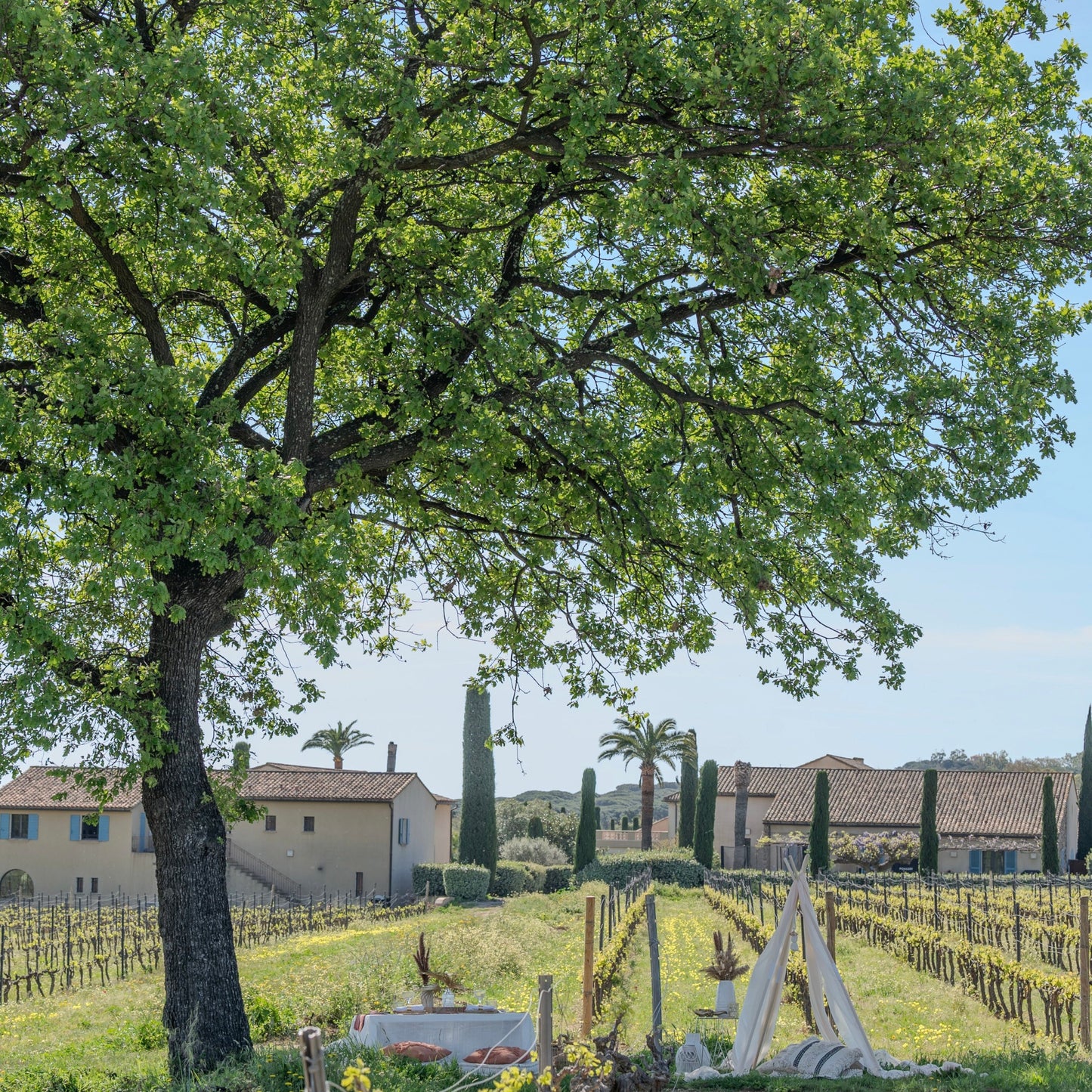 Wine Xperience