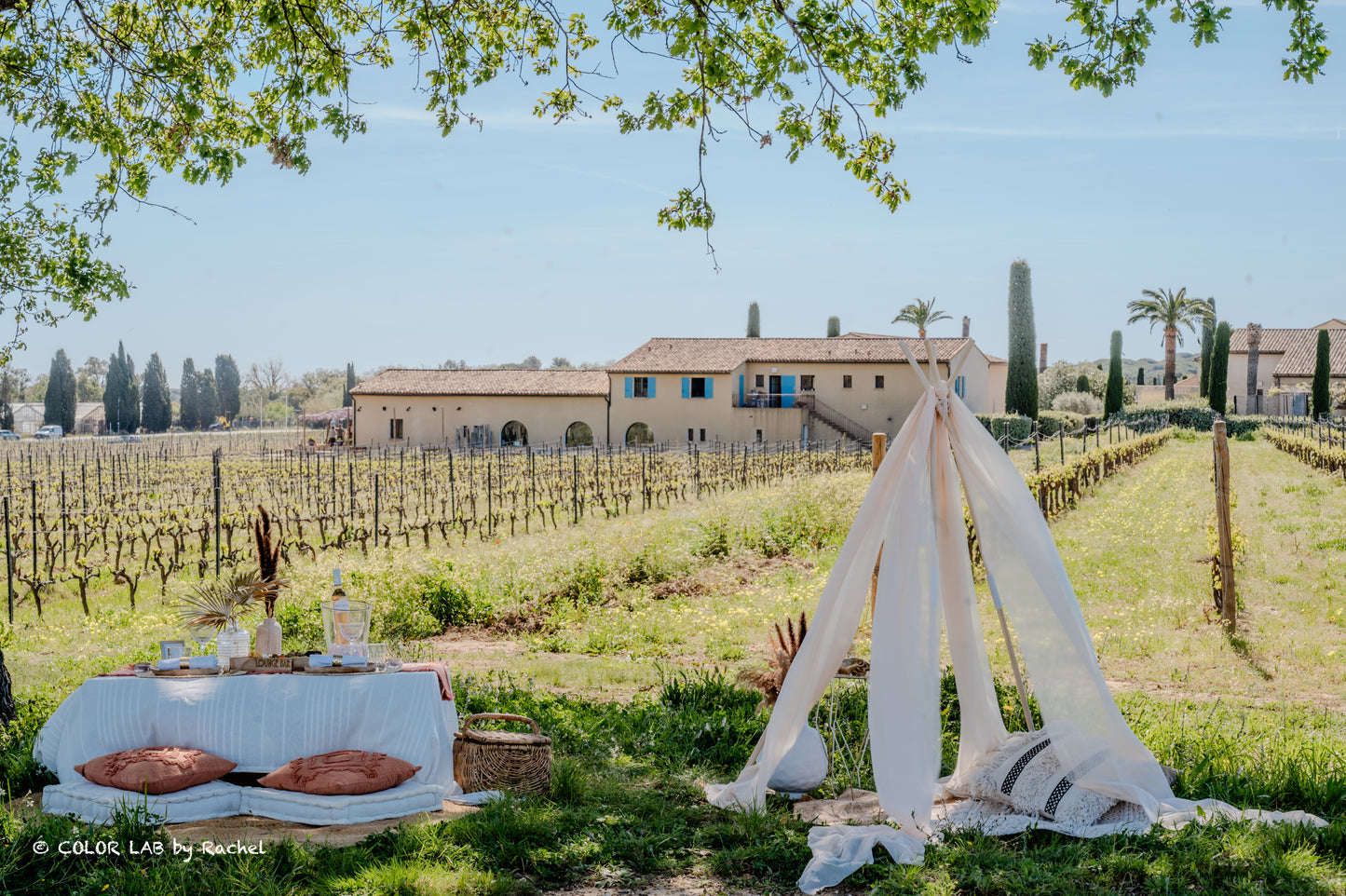 Wine Xperience