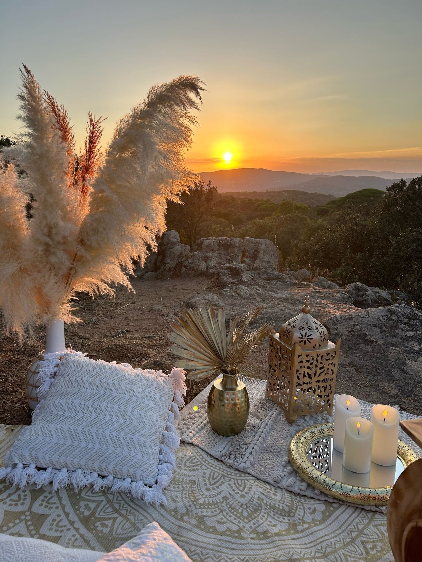 WhatsApp Image 2025-04-18 at 19.50.09.jpeg