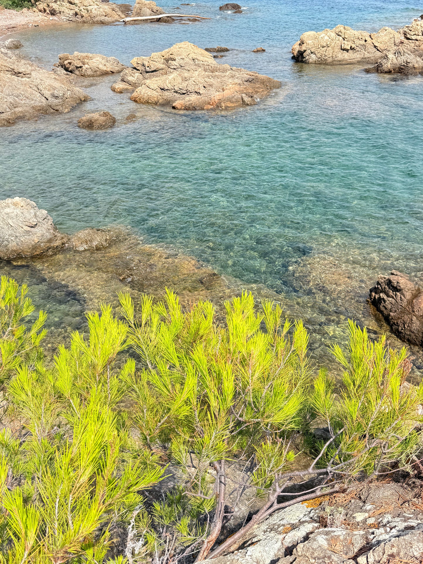 Les pieds dans l’eau ￼