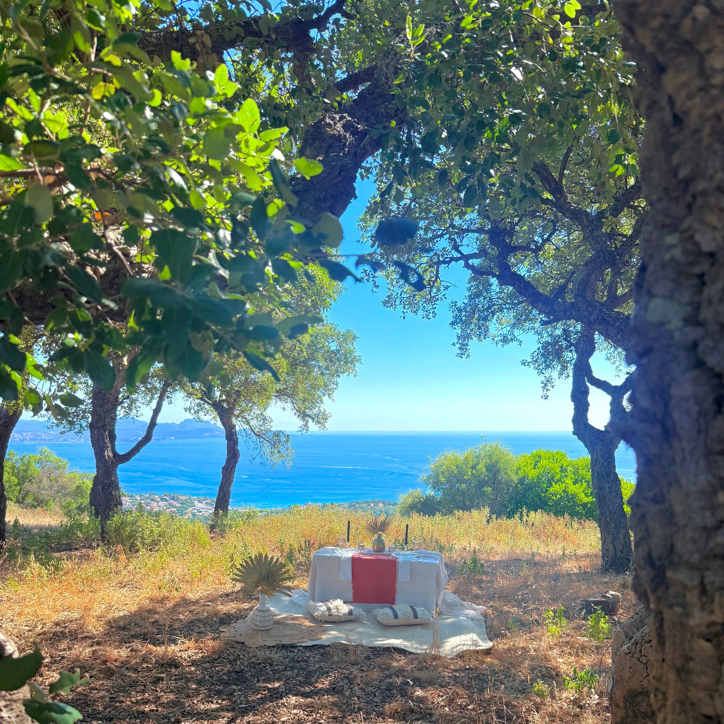 Colline divine  - Sainte Maxime