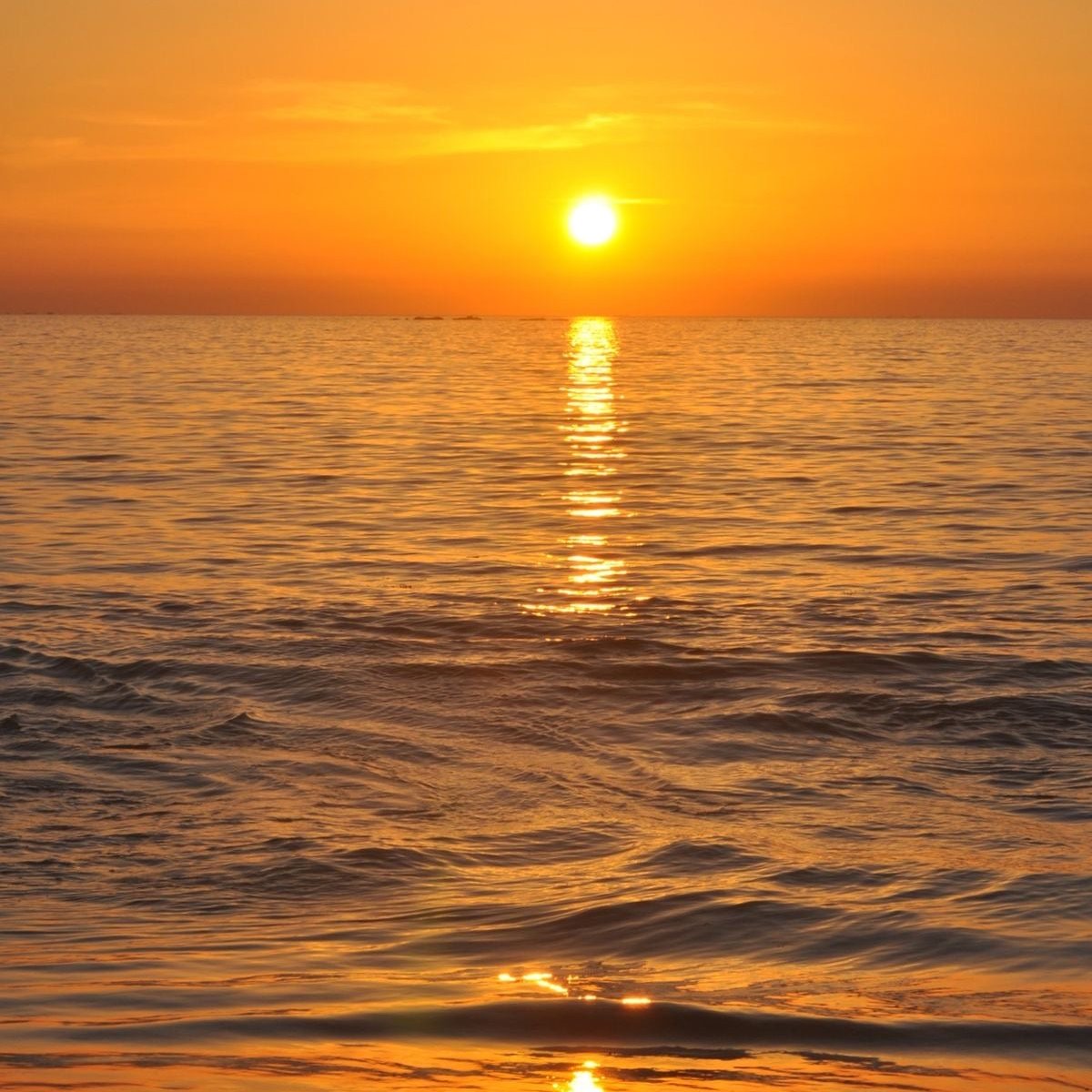 Sunrise vibration