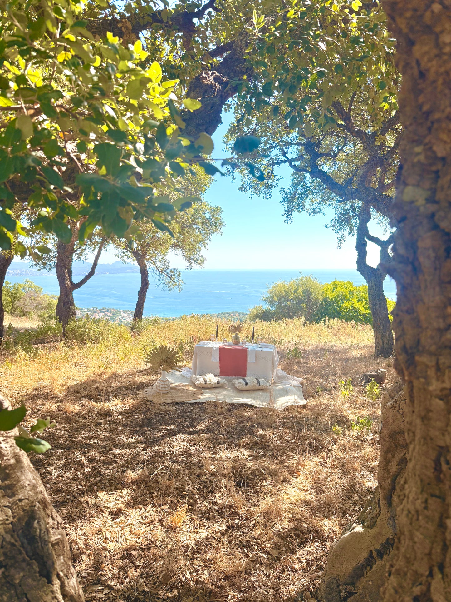 Forest therapy- Forêt