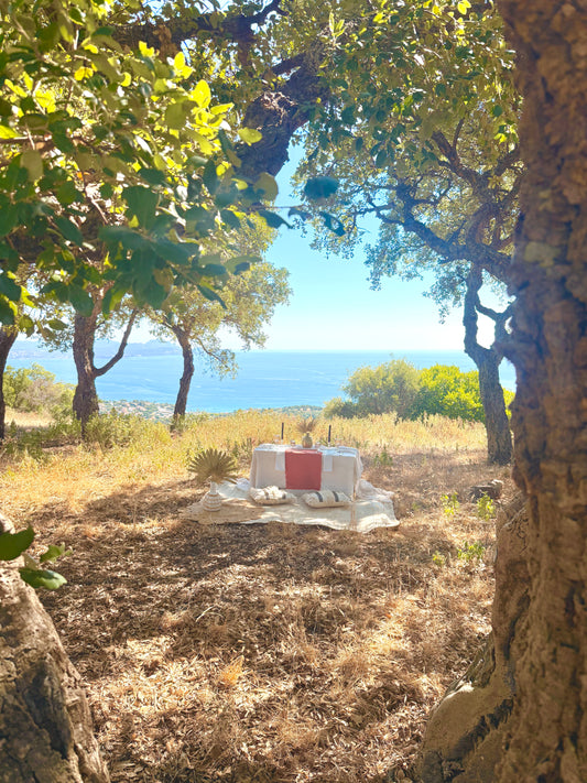 Forest therapy- Forêt