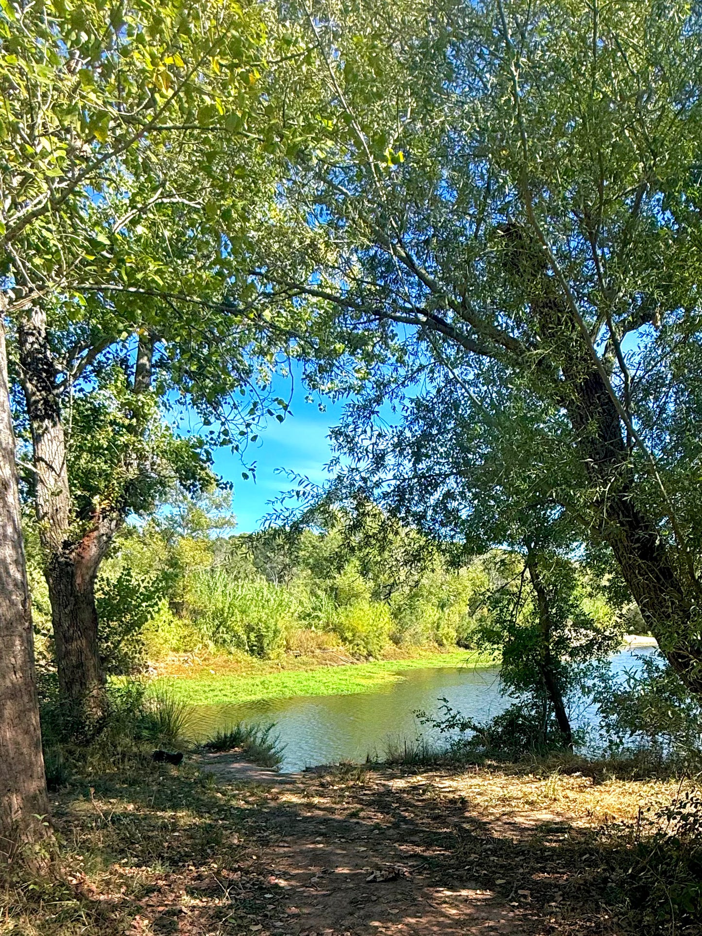 Petit lac - Roquebrune sur Argens