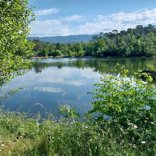 Petit lac - Roquebrune sur Argens