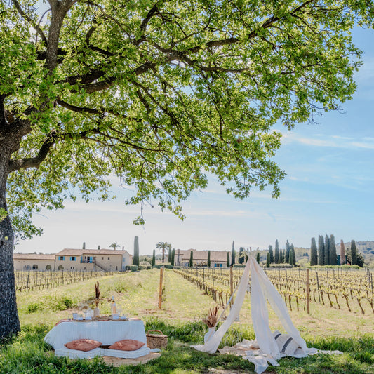 Wine Xperience - Saint Tropez